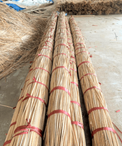 Cọng mây tự nhiên | TT1 11 Cong may tu nhien 5