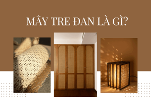 may tre dan