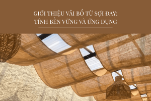 vai bo 1