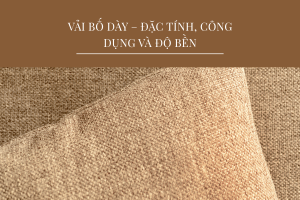 vai bo