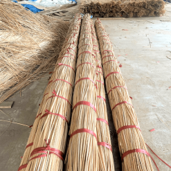 Cong may tu nhien 5