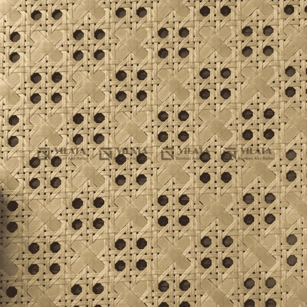 PA303 001 001